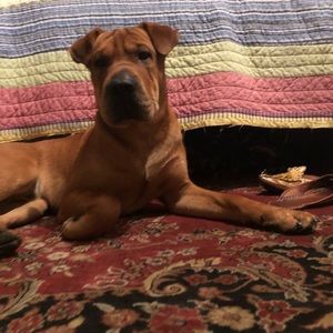 Meet your Posher, Eman